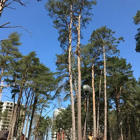 公寓 Blue Porta Mare